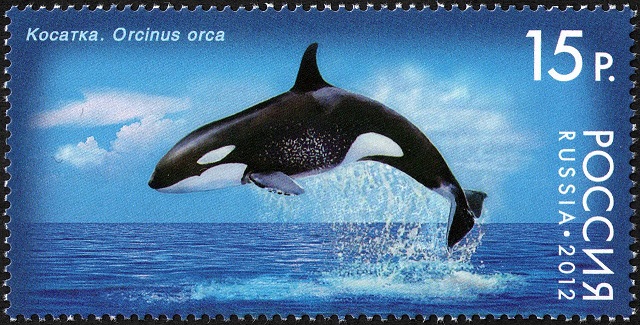 Russian stamp featuring a Killer Whale.