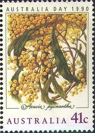 Acacia tree on a 1991 Australia stamp.