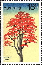 Flame tree on an Australian stamp.