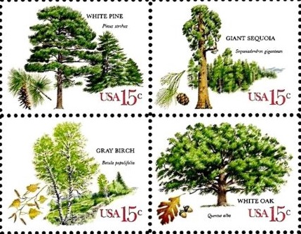 Stamps from the USA featuring White Pine, Giant Sequoia, Gray Birch and White Oak.